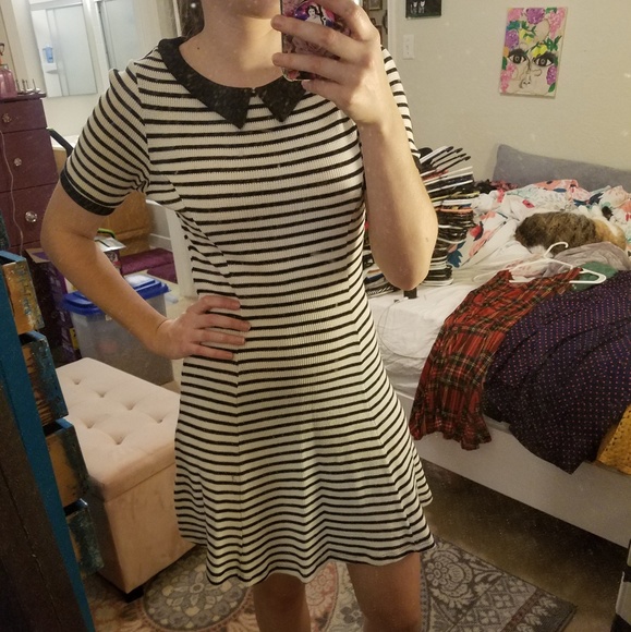 Divided Dresses & Skirts - Black and white collared dress